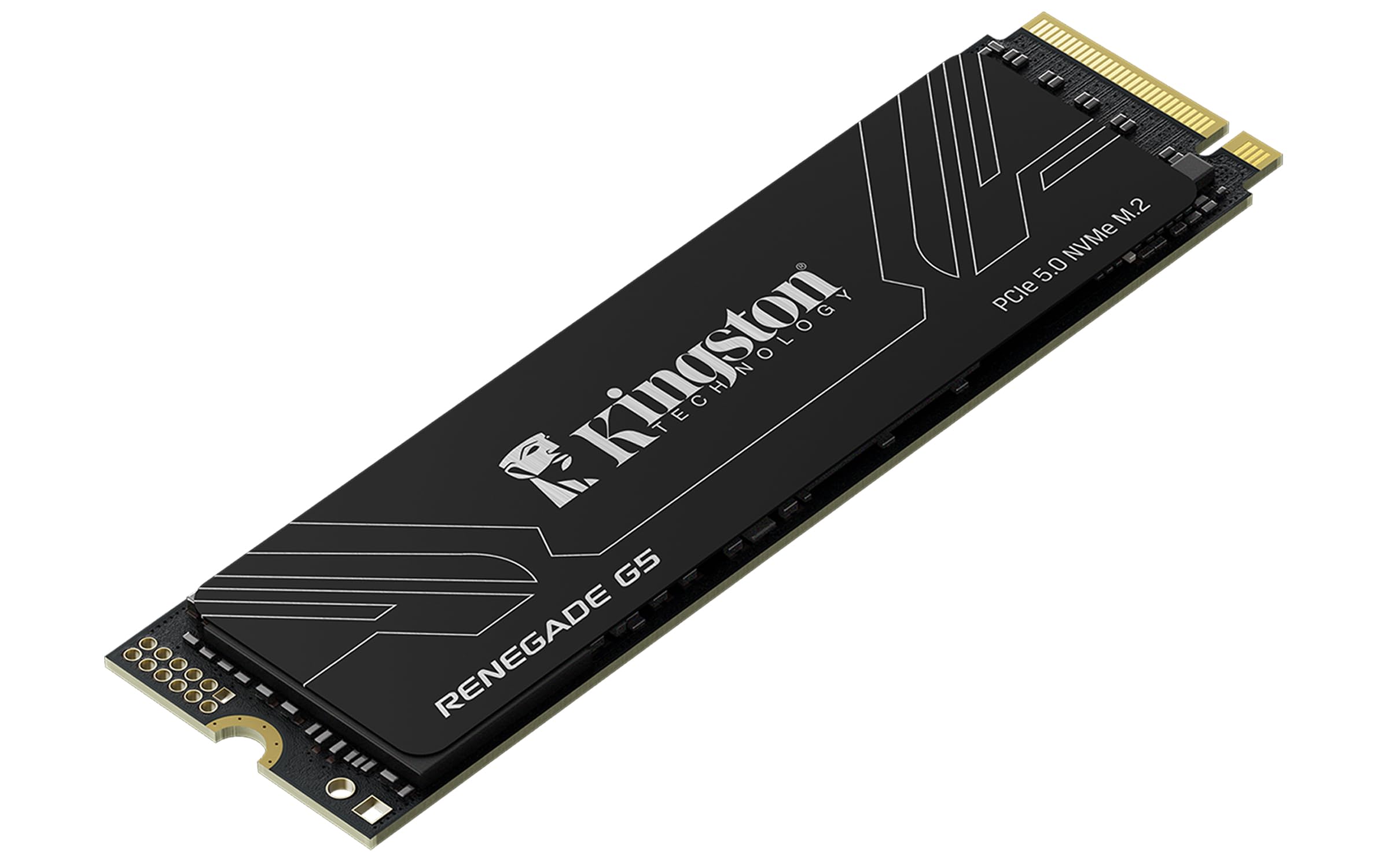 Kingston Renegade G5 2TB 14700-14000MB/S M2 Nvme Gen5 SSD Bellek