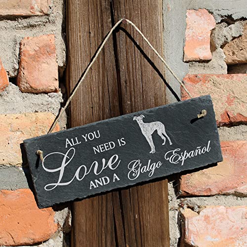 Schiefertafel Deko Galgo Español Schild 22 x 8 cm - All you need is Love and a Galgo Español - Wanddeko Dekoration Türschild