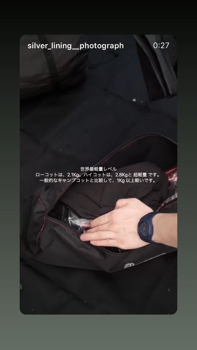 Amazon.co.jp: 【ドイツ発×欧州×2wayコット】ALPIDEX (アルピデックス