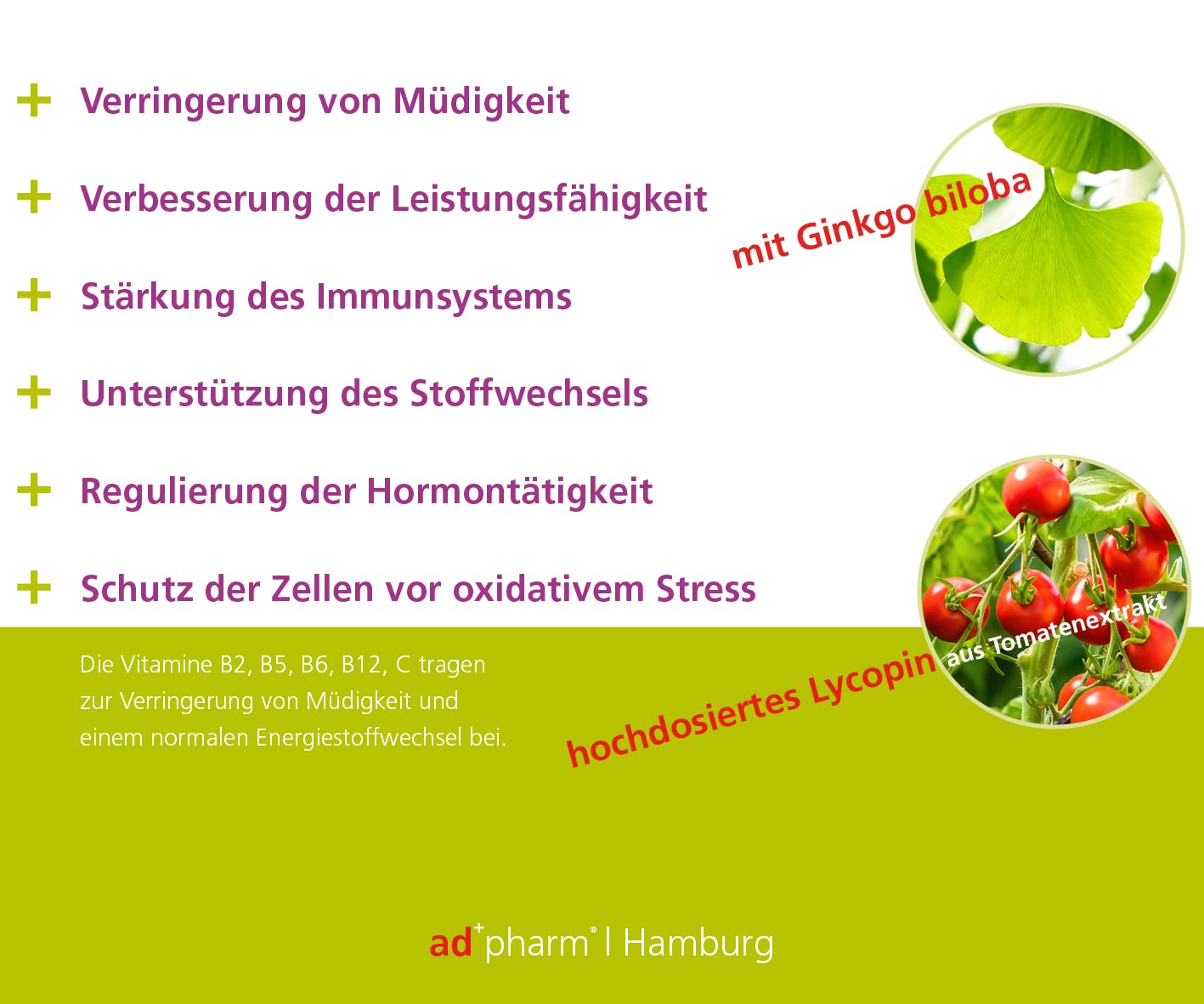 Vitamine für Frauen - Algen-DHA, Ginkgo Biloba, Lycopin & Ratgeber Wechseljahre von Prof. Bühling - Quartalspackung