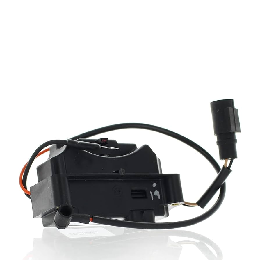 Amazon.com: Evinrude Johnson BRP New OEM Power Pack and