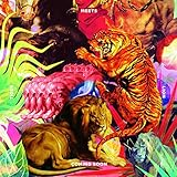  Tiger Meets Lion