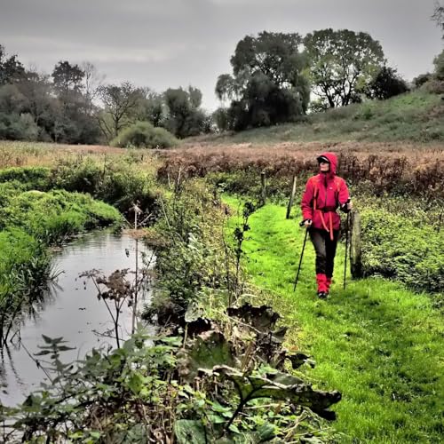 Vandrefort&aelig;llinger fra &Oslash;havsstien Titelbild