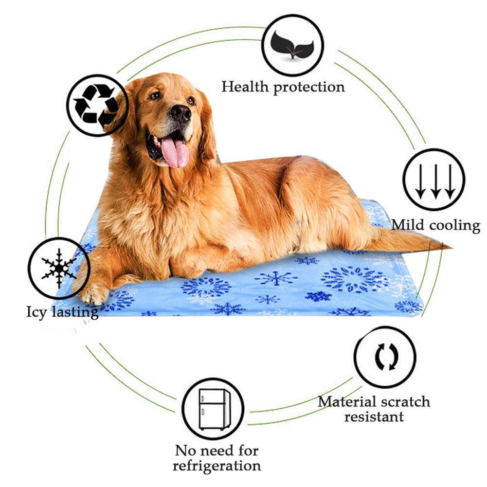Materassino estivo per cani, perfetto per cucce e gabbie, offre un comodo riposo e isolamento, ideale per uso interno ed esterno