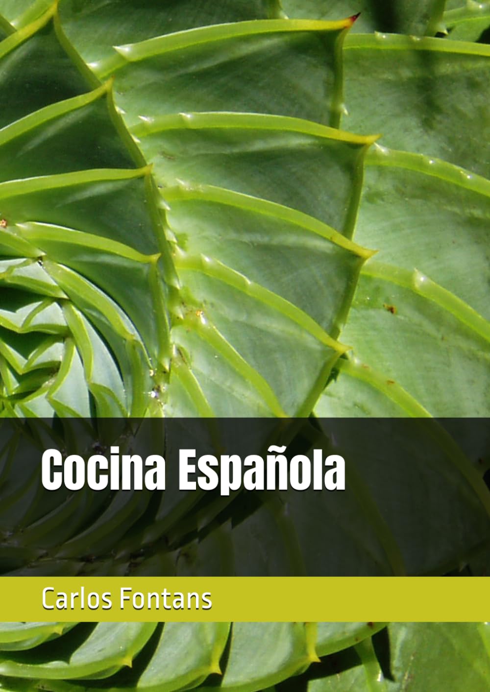 Cocina Española (COCINANDO CON INVESTIGACION)