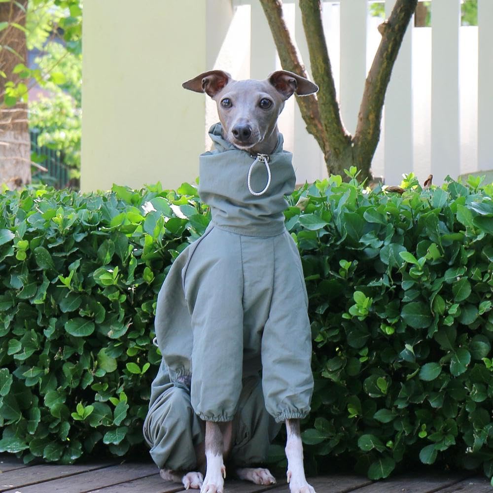 wasserdichte, verstellbare Jacke mit hohem Kragen für italienische Windhunde, 4 Beine, reflektierender Streifen, Hundemantel mit Reißverschluss für Whippet-Hunde