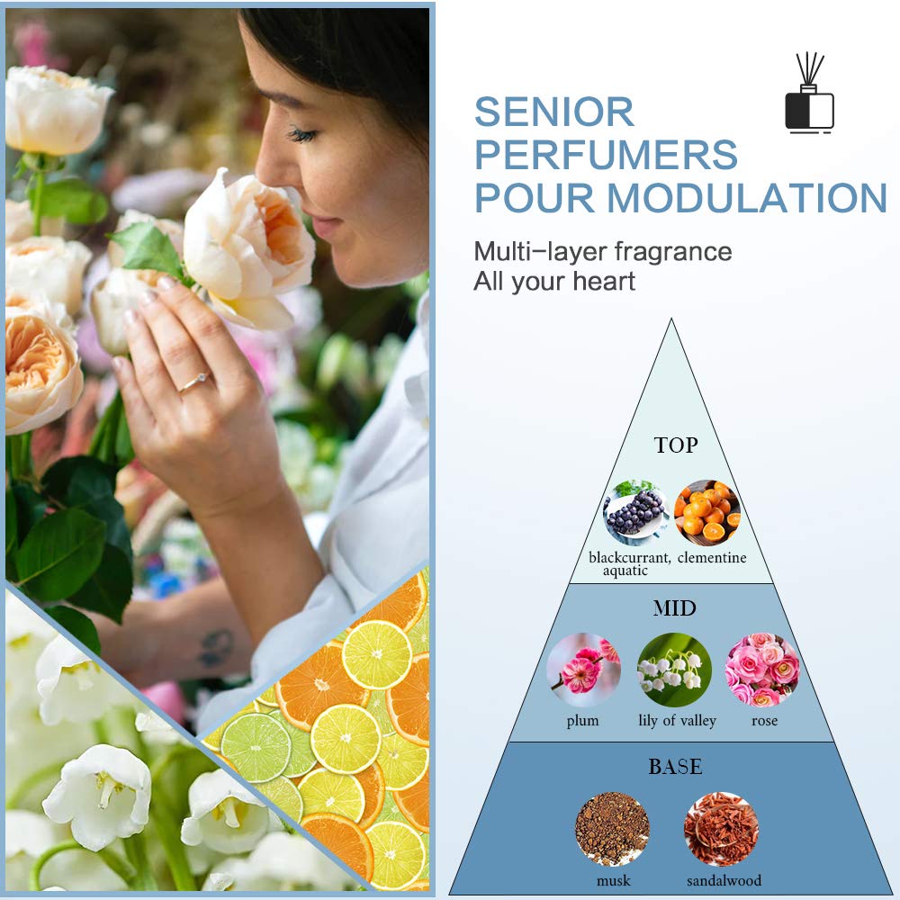 OPPEAL Delicen Manuka Honey Hotel Amenities | Rectangular Soap Bars, Conditioning Shampoo, Body wash 3-Piece Set | Clementine Scent | 150 Pcs Total - Image 5