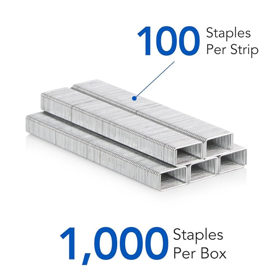 いあんページ Amazon.com: AdlerSpeed 4AN -4AN Female Swivel to 1/4
