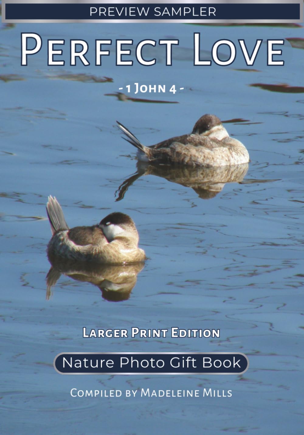 Perfect Love – Larger Print Edition - Preview Sampler: 1 John 4 - Nature Photo Gift Book (Wedding Hymne Series)