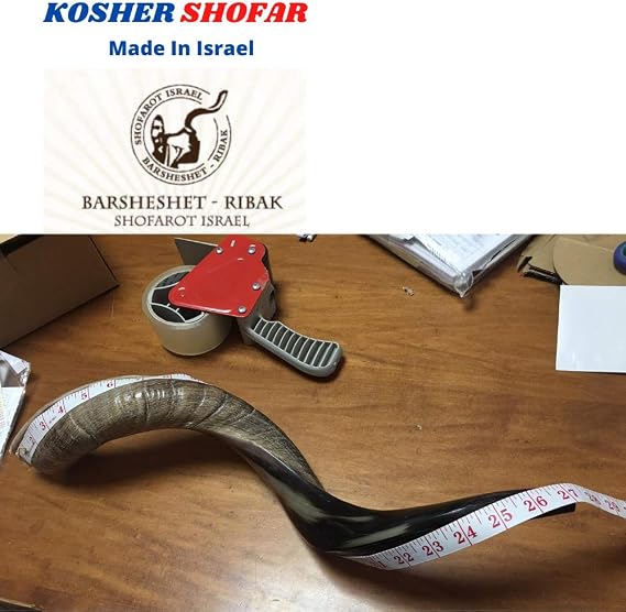 Jemenit-Kudu-Horn-Schofar 711-787 cm koscher hergestellt in Israel
