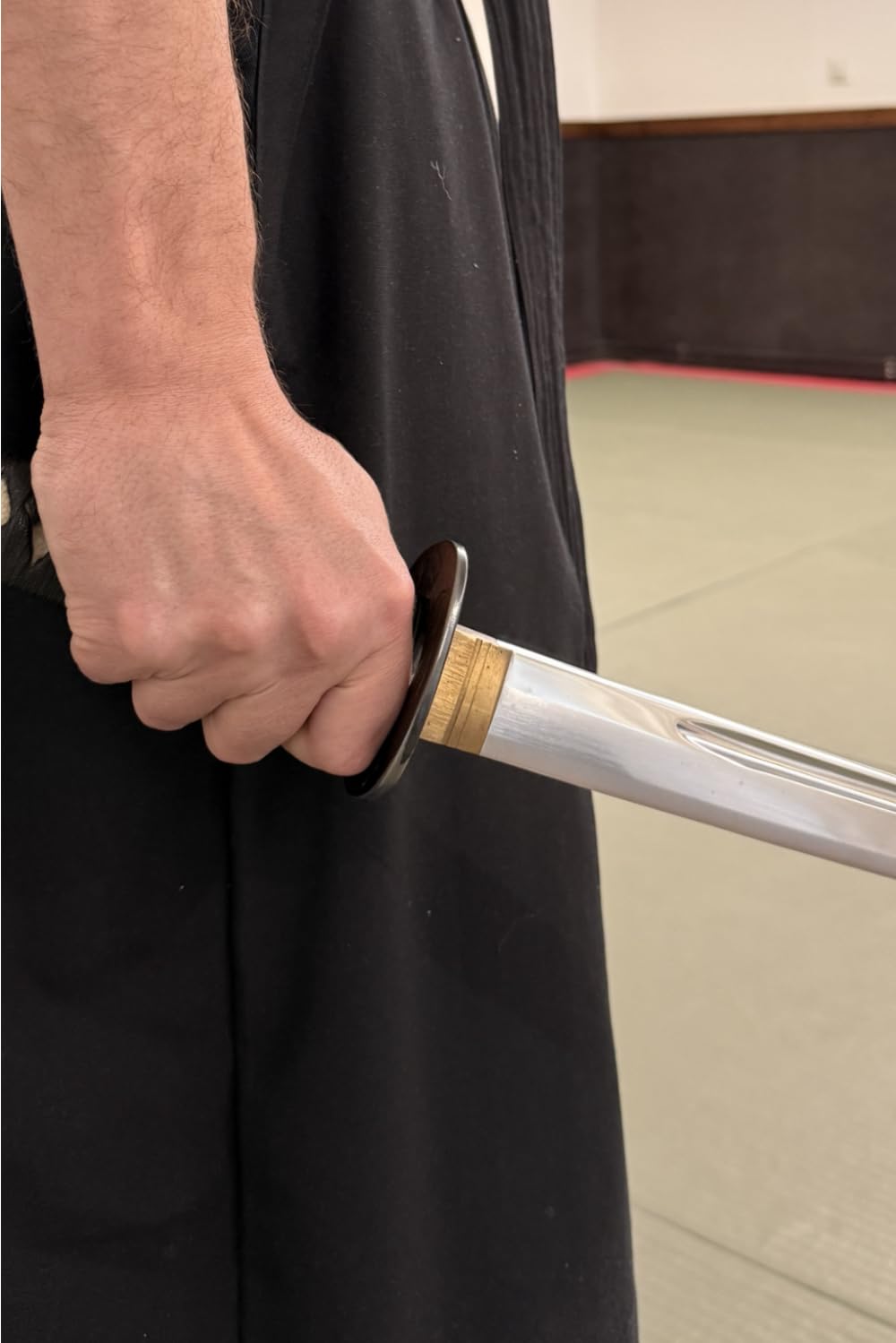 El comienzo del samurái: Muso shinden ryu - Omori ryu