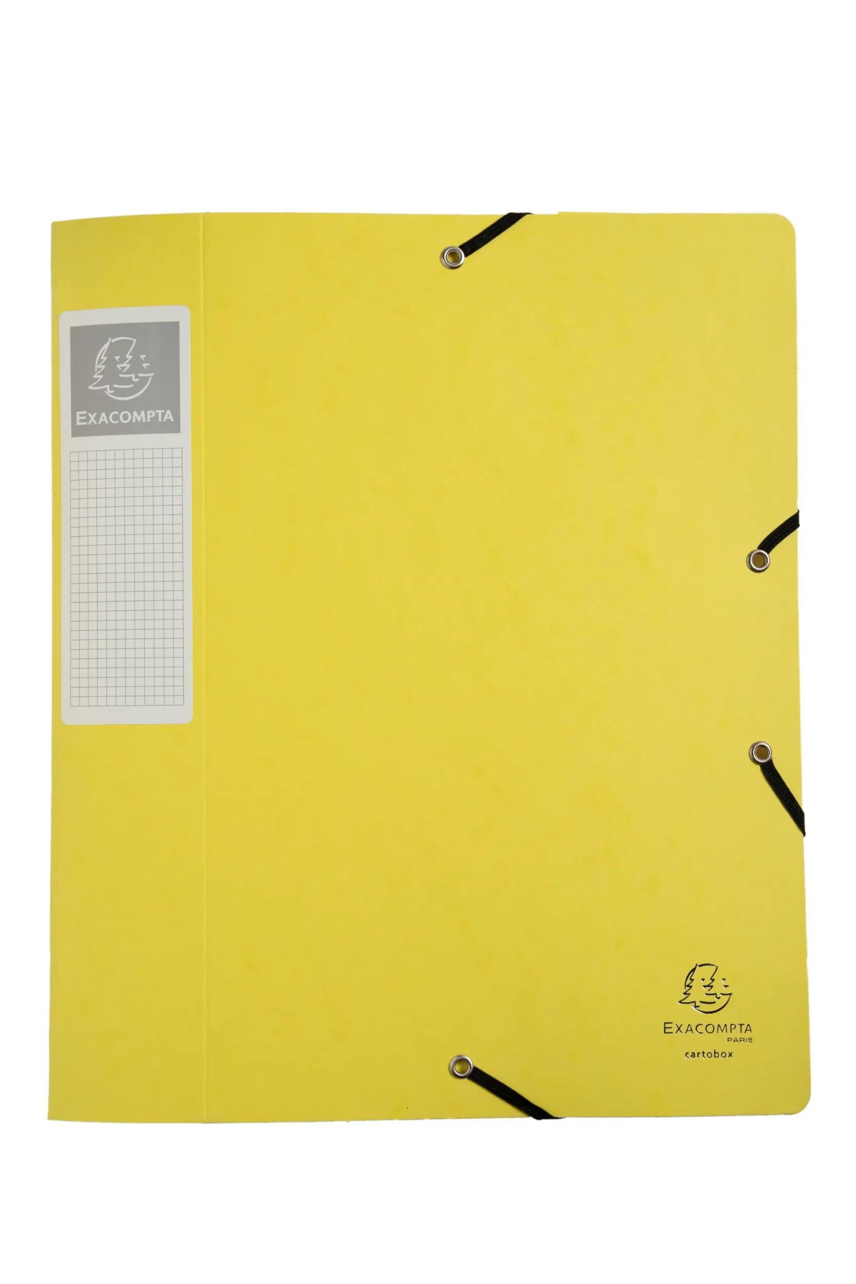 Exacompta 10 scatole archivio Cartobox Aquarel A4 dorso 6 cm