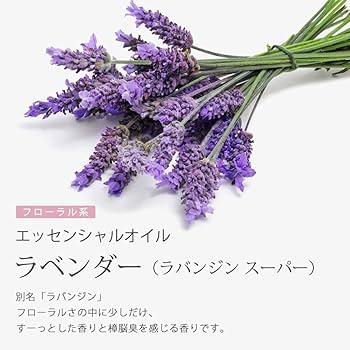 brise様★大容量3本　真正ラベンダー花　ティーツリー　レモン　各100ml brise様☆大容量3本 真正ラベンダー花 ティーツリー レモン 各