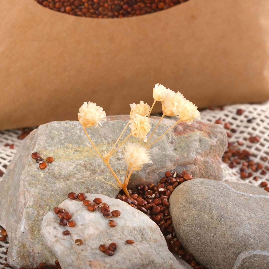 süssundclever.de® Bio Quinoa rot | 1,8 kg | Premium Qualität | plastikfrei und ökologisch-nachhaltig abgepackt
