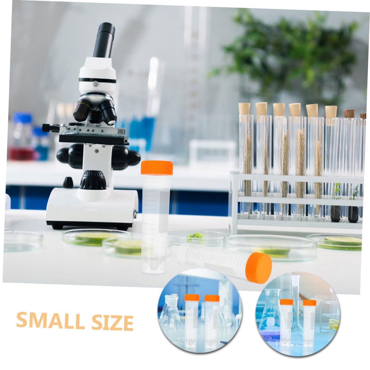 Mobestech 50pezzi Provette Da Laboratorio Con Coperchi Tubetti Resistente Per Esperimenti Scientifici e Centrifughe Chiare e Pratiche Per Uso Professionale