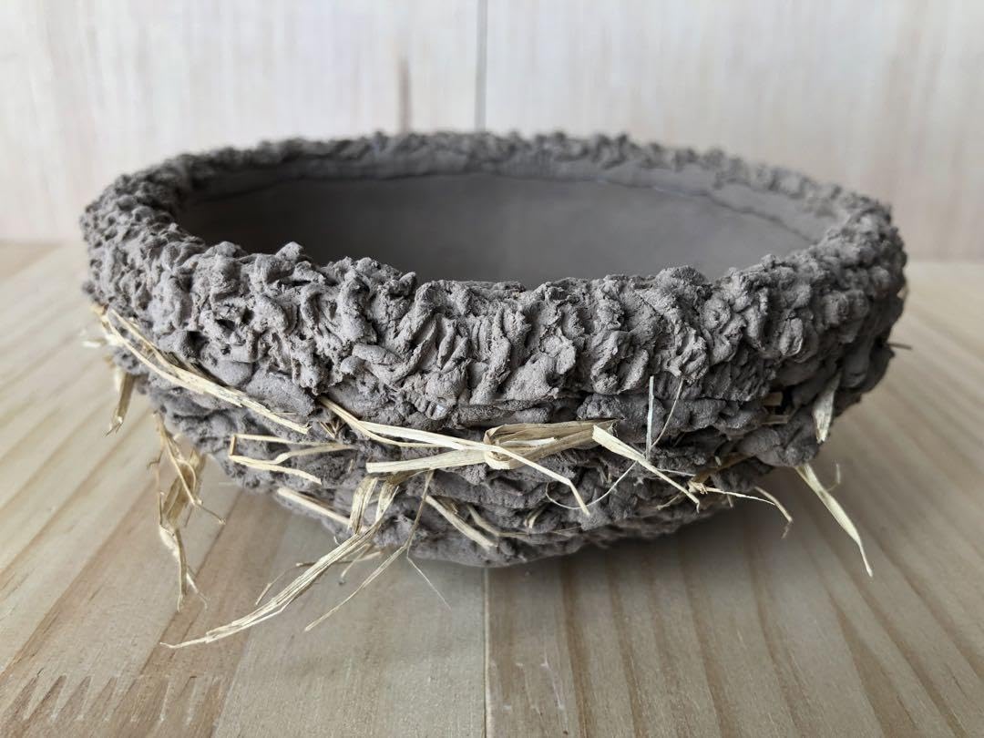 ツバメの人工巣　置き型用タイプ（お椀型）台座付き　新品・未使用品 ツバメの人工巣 置き型用タイプ（お椀型）台座 b7 Amazon.co.jp: ツバメ