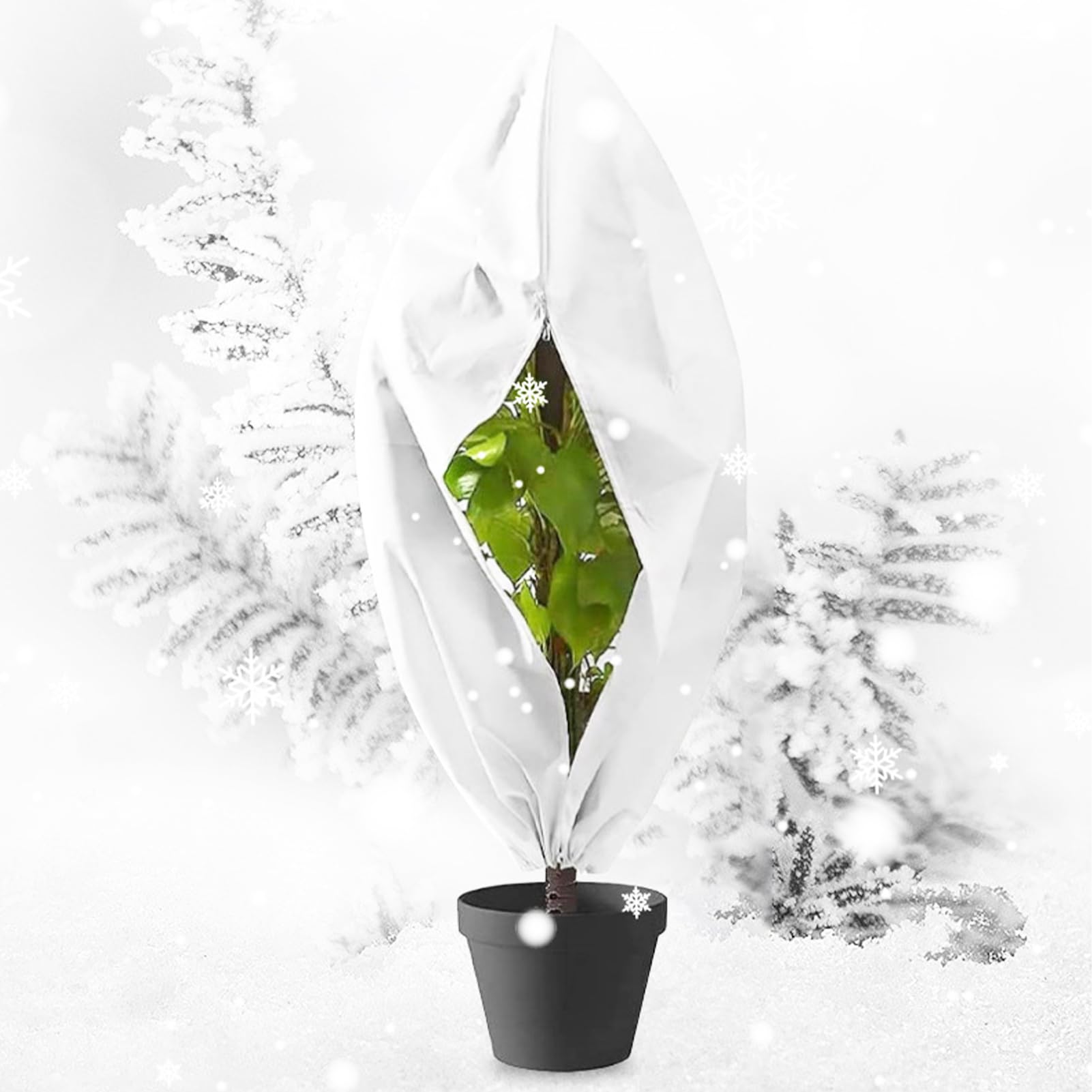 DAZZTIME 4 Pezzi Cappuccio Protezione Piante 80 x 100cm,Telo Piante Inverno con Coulisse,Tessuto Non Tessutoper Piante,per Piante per Proteggere in Inverno da Gelo, Non Tessuto