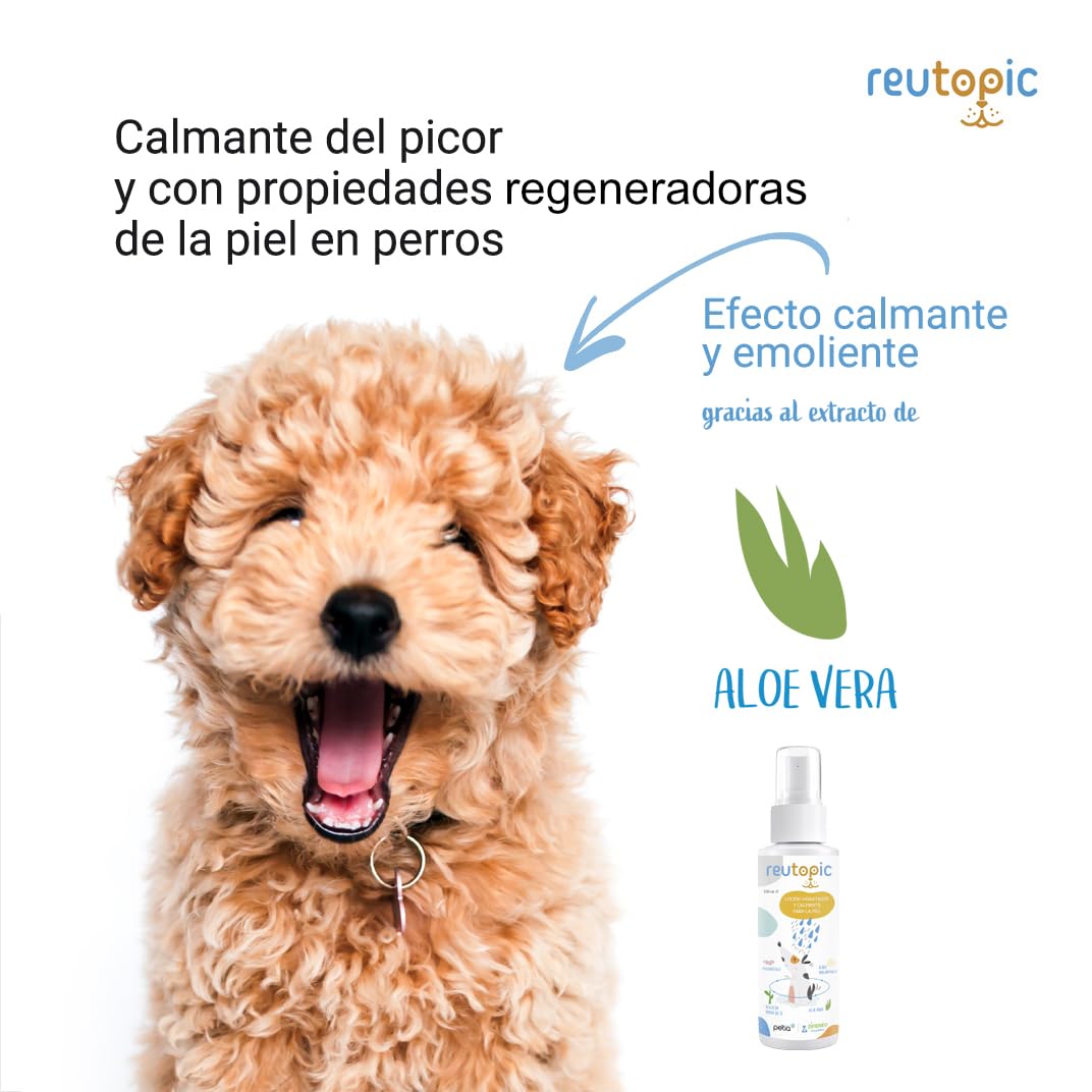 Reutopic - Loción Hidratante Calmante del Picor para Perros - 1 Bote 100 ml