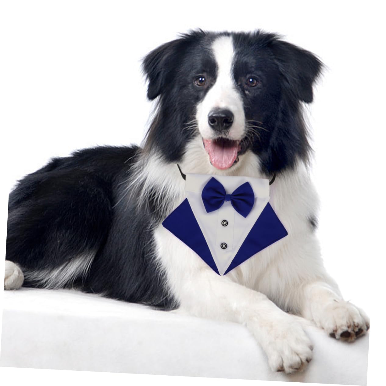 Housoutil 3sätze Hundebandana Mit Schleifenkragen Dreieckiges Halstuch Für Hunde Aus Stilvolles Hunde-Accessoire Für Outdoor Und Partys Pflegeleicht Und Atmungsaktiv