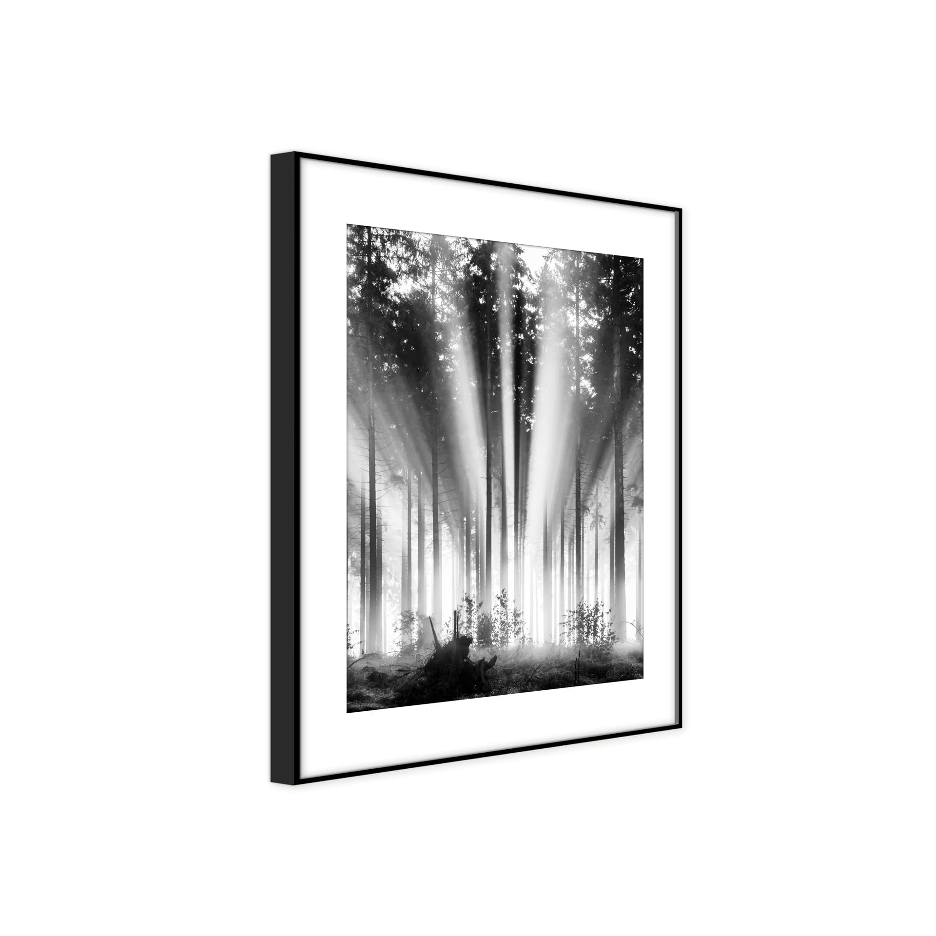 STYLER Rahmenbild Fog and Sun 50 x 70 cm | Artbox Die Schönheit der Natur in einem lichtdurchfluteten Wald schafft mit klassischer Farbgebung eine gemütliche Raumatmosphäre Wohnzimmer schwarzweiß