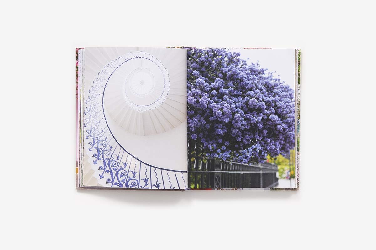 London in Bloom - الصورة 3