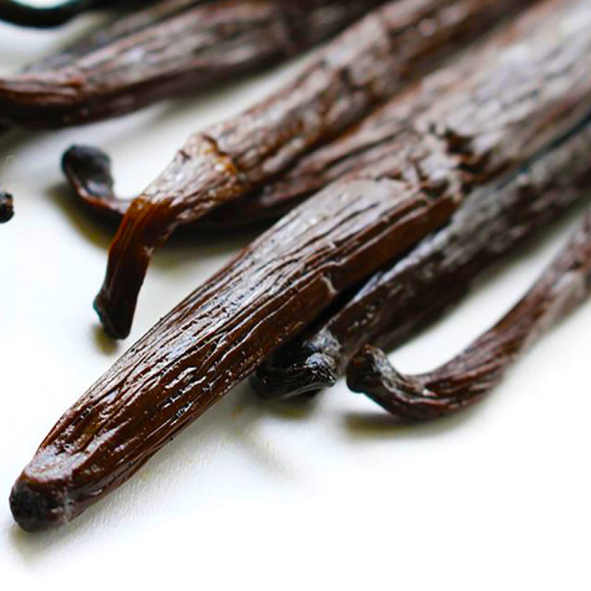 "Pacifique Vanille" 10 baccelli di vaniglia Gourmet Tahitensis 13-14 cm/sacchetto salvafreschezza con cerniera/qualità di grado A / 100% biologico.