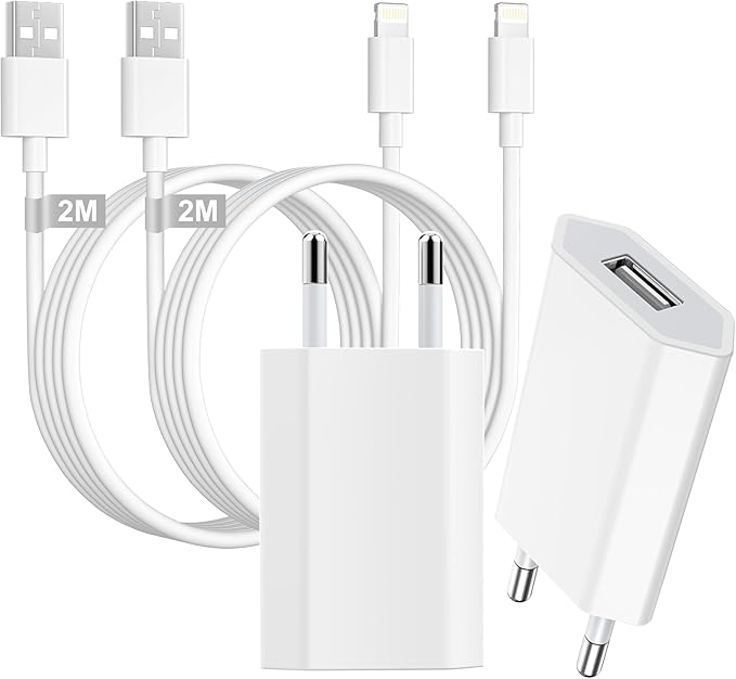 Chargeur iPhone Apple MFi Certifié et Câble