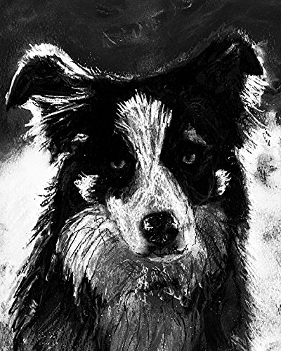 collie dog paintings