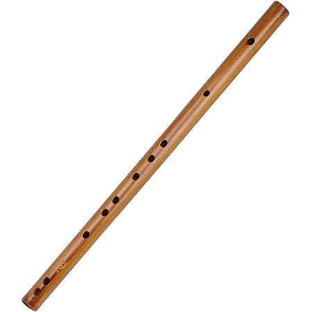 無料長期保証 樹脂製の横笛fife フルート ピッコロ に近い運指 Aulos アウロス