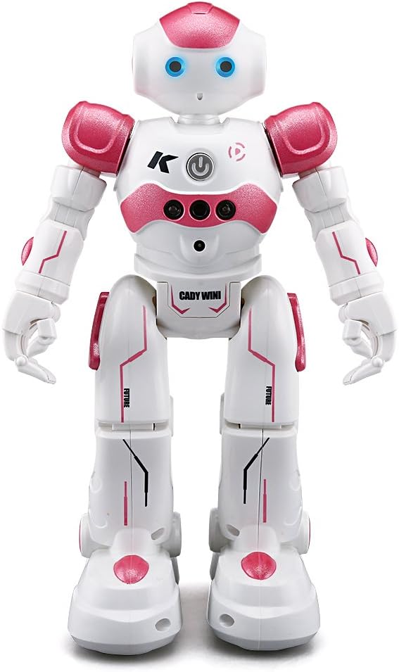 ZMZS Cady WINI and YH Intelligent Programming Gesture Control Robot RC Toy Gift for Children Kids Entertainment