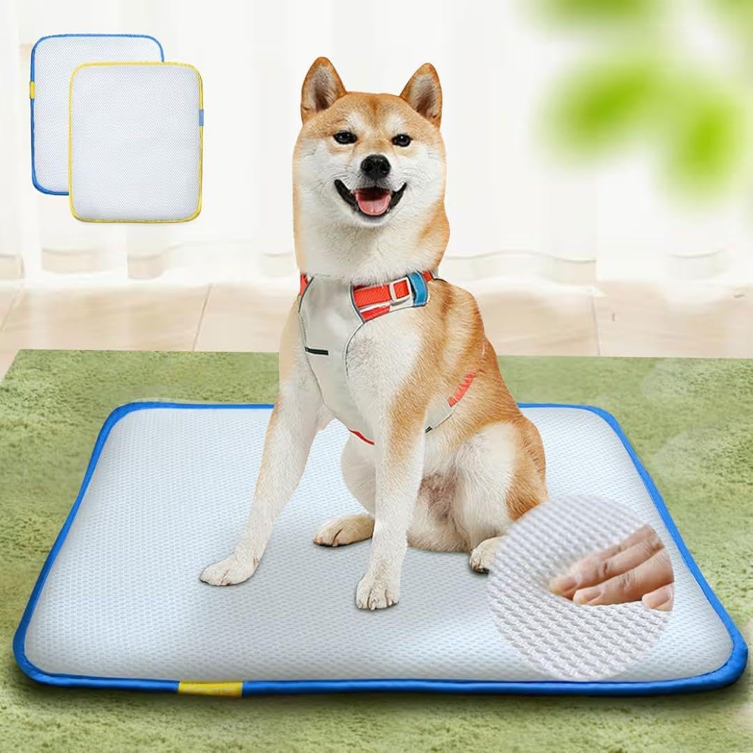 ペットシーツ 瞬間吸収 脱臭速乾 老犬 猫 介護用 トイレシート 70‪✕‬60