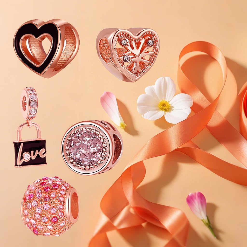 HCMY 10 Pack Silver Bead Charms for Bracelets and Necklaces Chain Jewellery Charm for Woman - Image 4