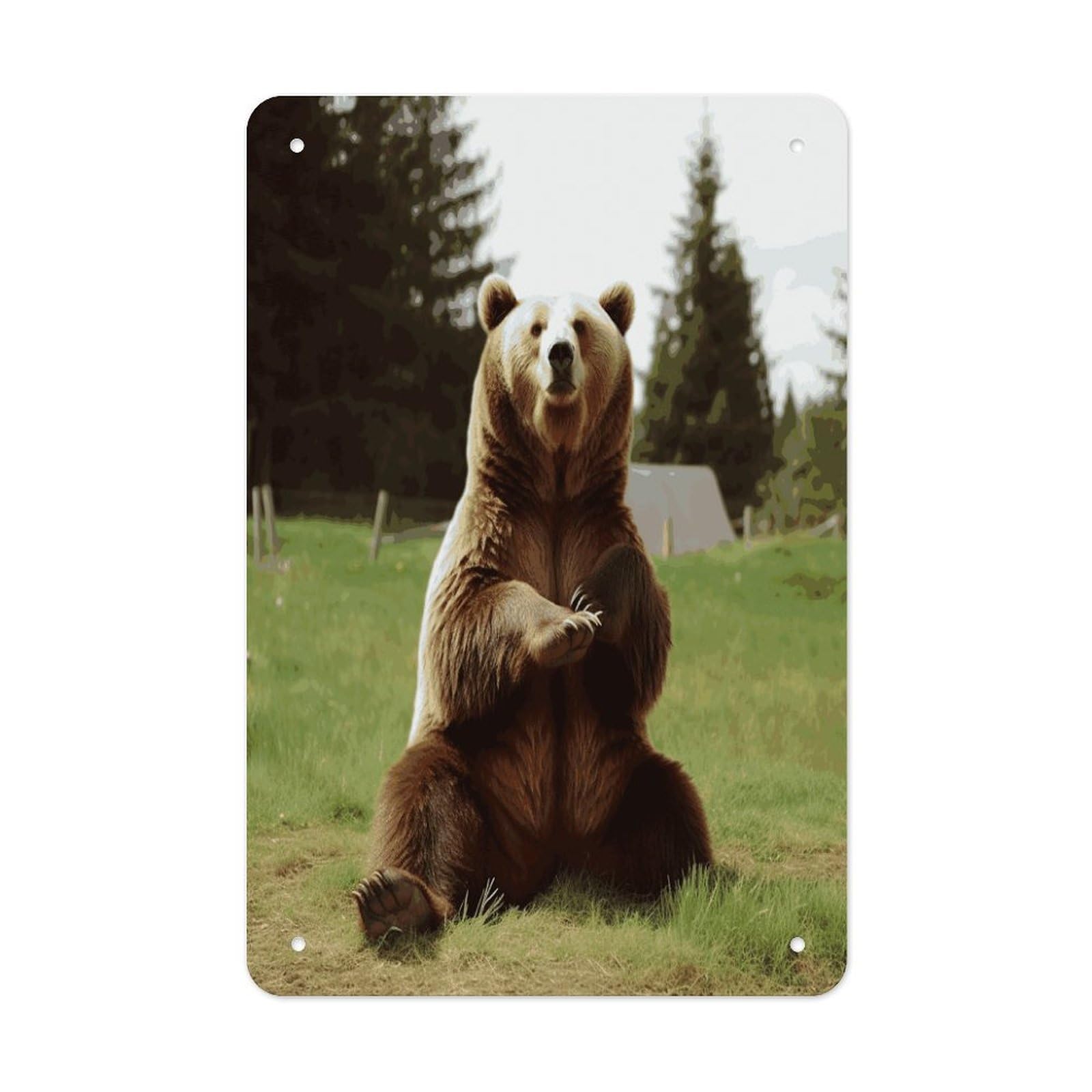 Btcowzrv Style Hi Bear Sit On The Lawn Metal Tin Sign Wall Decor Hanging Plaque