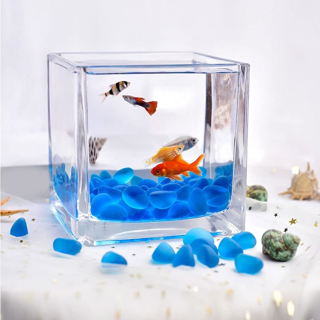Pecera de Escritorio Cuadrada de Cristal Transparente para Oficina, hogar, decoración Creativa, pecera pequeña, Planta de Agua, pecera Fresca (10 cm) (A 15 cm)
