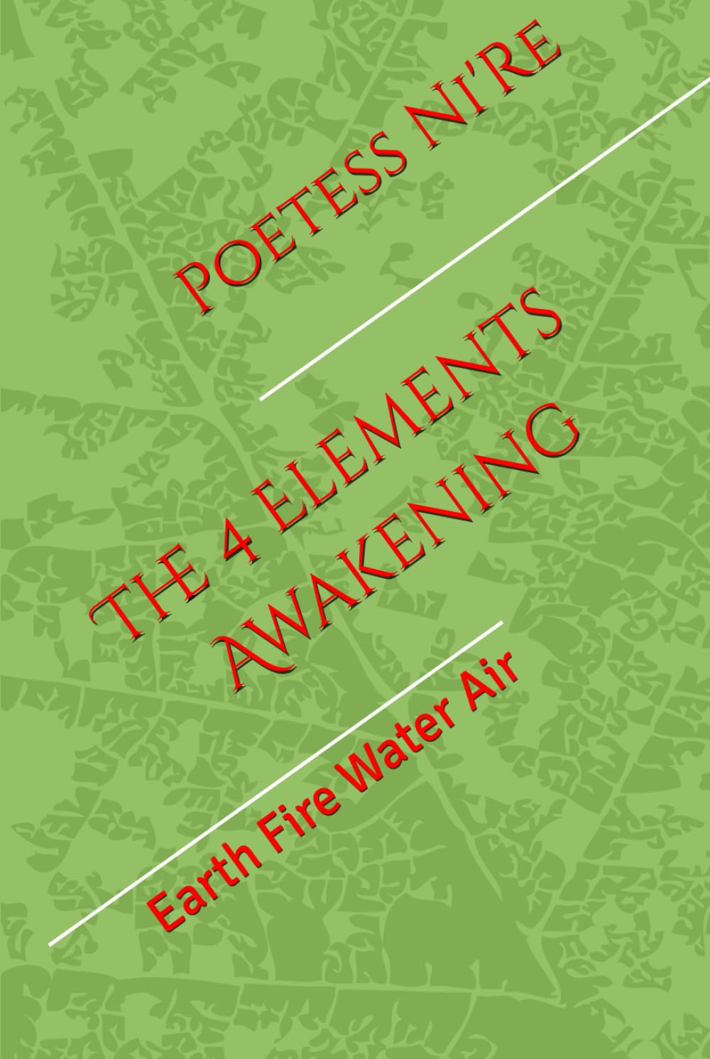 The 4 Elements Awakening