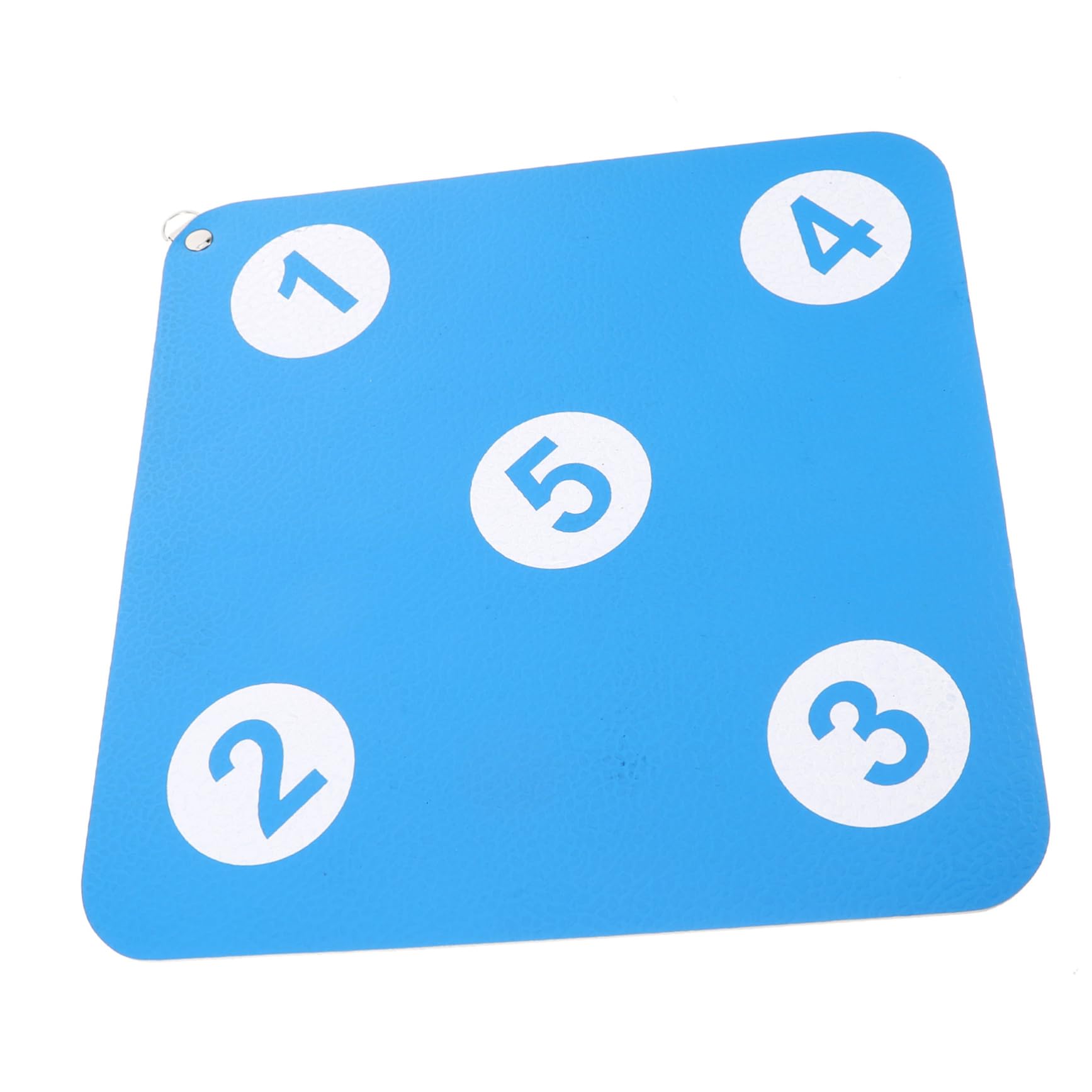 MUELODSIC Fencing Rubber Target for Outdoor Practice Durable Fencing Accessories for Enhanced Accuracy and Mounted Dual Sided Fencing Sport Target Lake