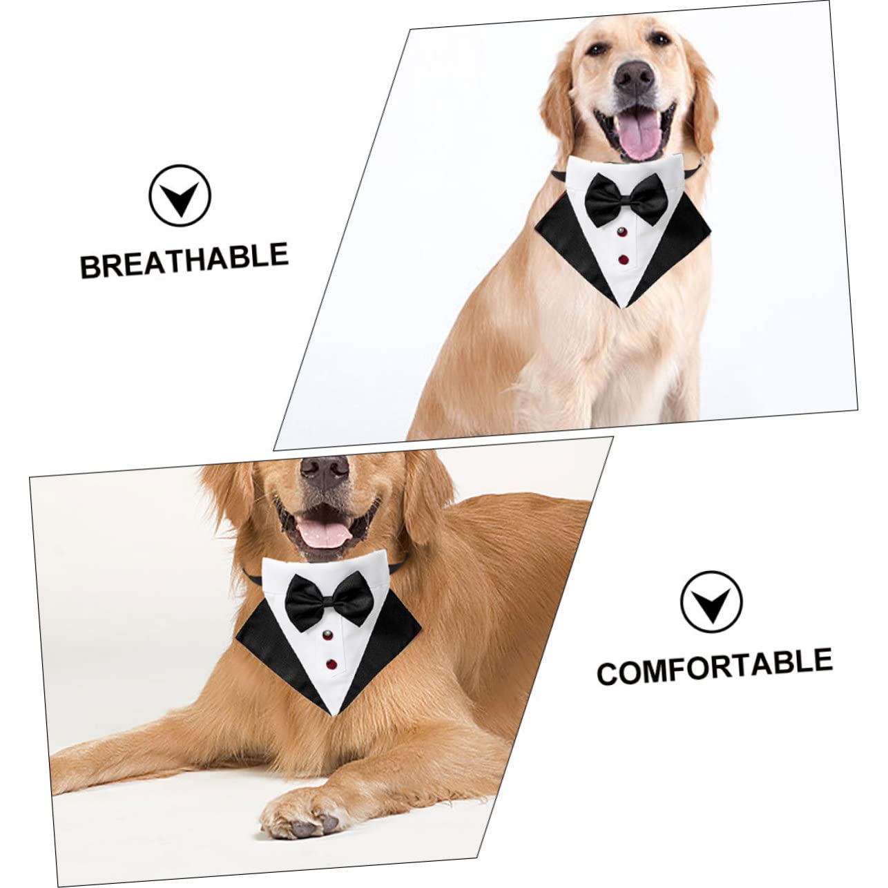 BESPORTBLE 2ensembles Costume Et Bandana pour Chien Chic pour Événements Spéciaux Et
