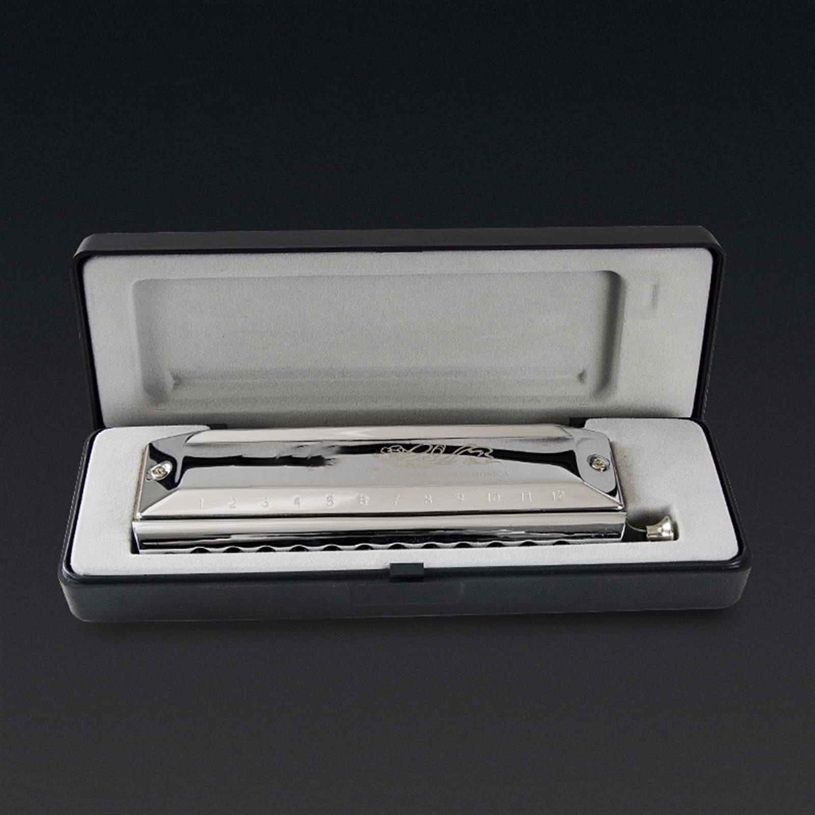 Armonica Cromatica A Dodici Fori Cromatica per Adulti Che Suona L'armonica per Strumenti Musicali Armonica per Principianti