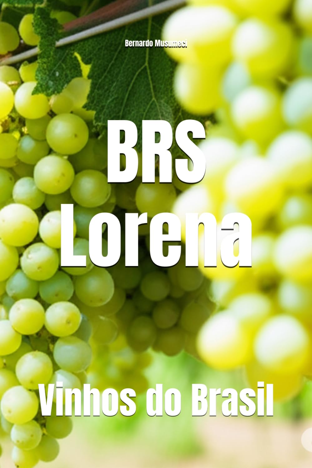 BRS Lorena: Vinhos do Brasil (Wines of the World: Brazil)