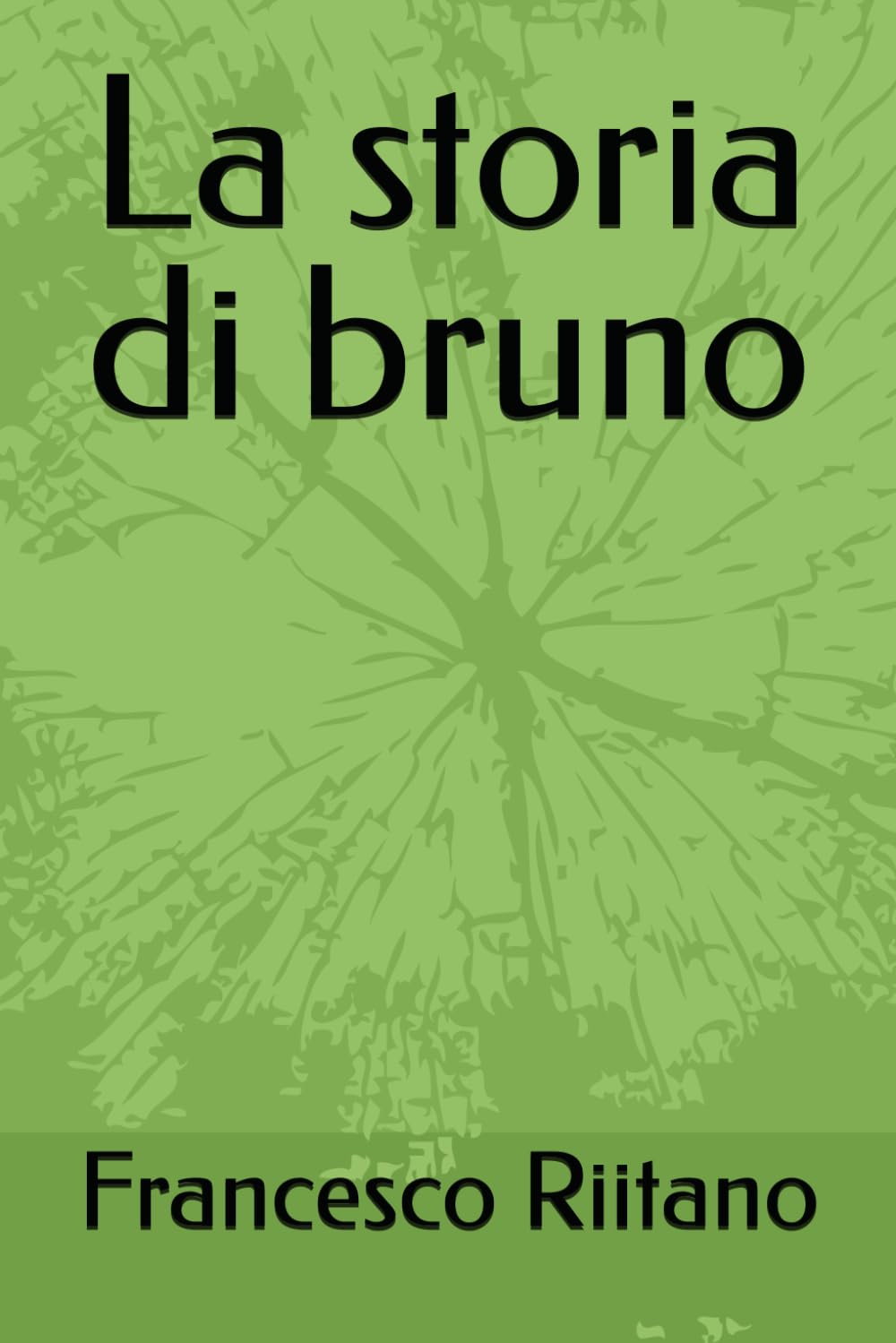 La storia di bruno