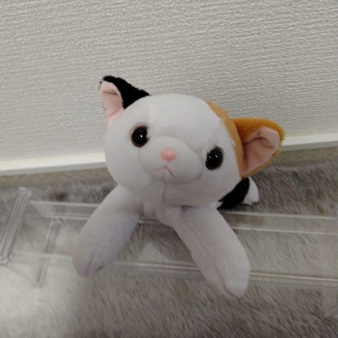 Amazon.co.jp: にゃんにゃんぱーくぬいぐるみ5種類 : おもちゃ