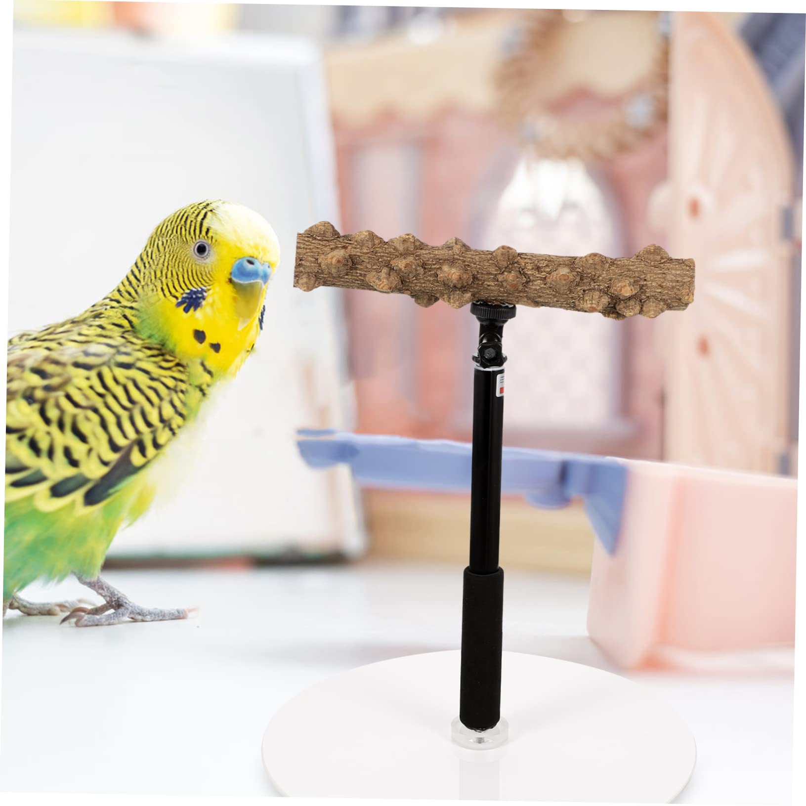 Happyyami Perca para Loros Soporte para Juegos De Pájaros Tenedor Juguete De Madera para Pájaros Accesorios para Jaulas De Periquitos Juguete para Soportes para