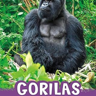 『Gorillas』のカバーアート