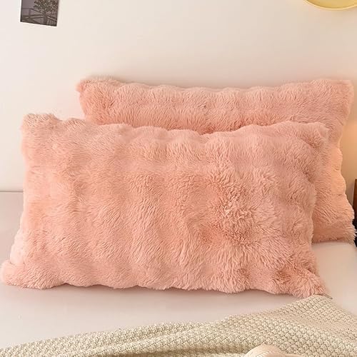 FUQIKEY 2PCS RR Jo[  rbgt@[ s[P[X 48×74cm 킢 tFCNt@[ g H~ _炩 ѕz tl P[X P[X 􂦂 ȒP CeA ~ k ܂܂ȐFI