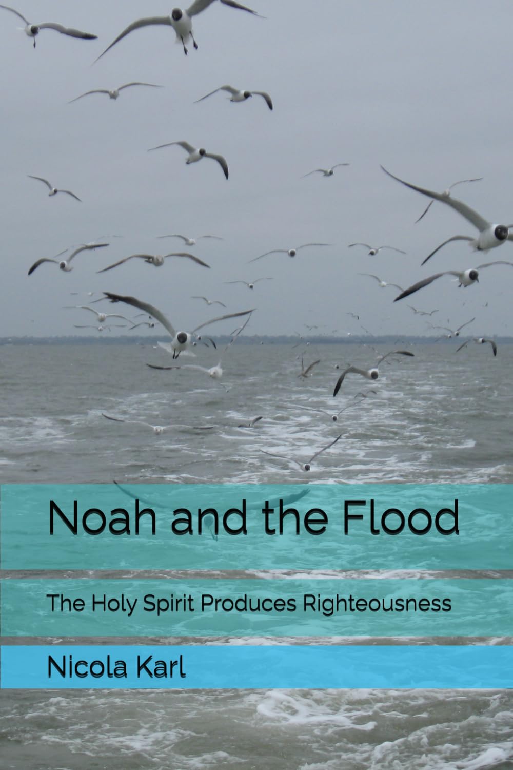 Noah and the Flood: The Holy Spirit Produces Righteousness (The Reflection of the Kingdom of Heaven)