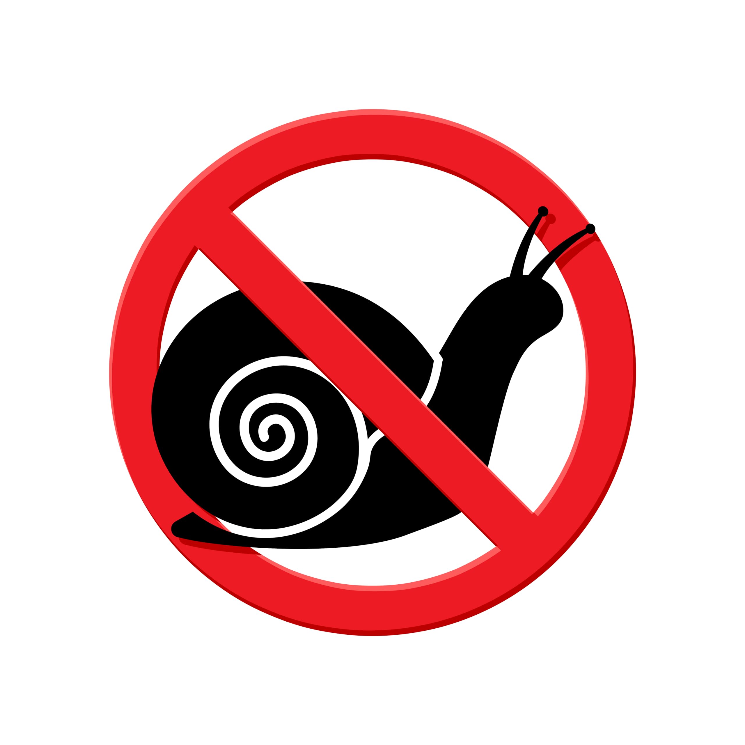 Engrais anti-mousse anti-escargots - Sulfate de fer II Heptahydraté - 25 kg