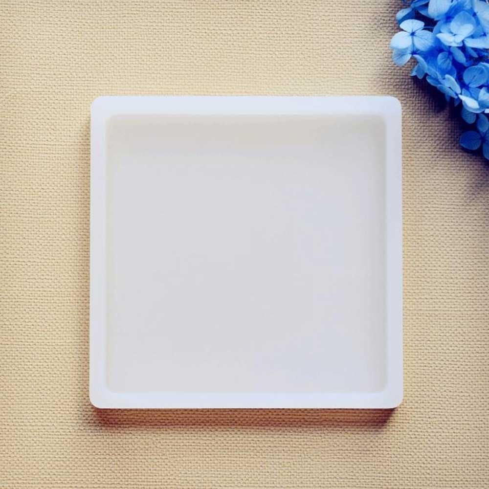 Bandeja con ranura for laboratorio de caucho de silicona: con ranura cuadrada/redonda de doble forma for organización de muestras(D100x5mm)