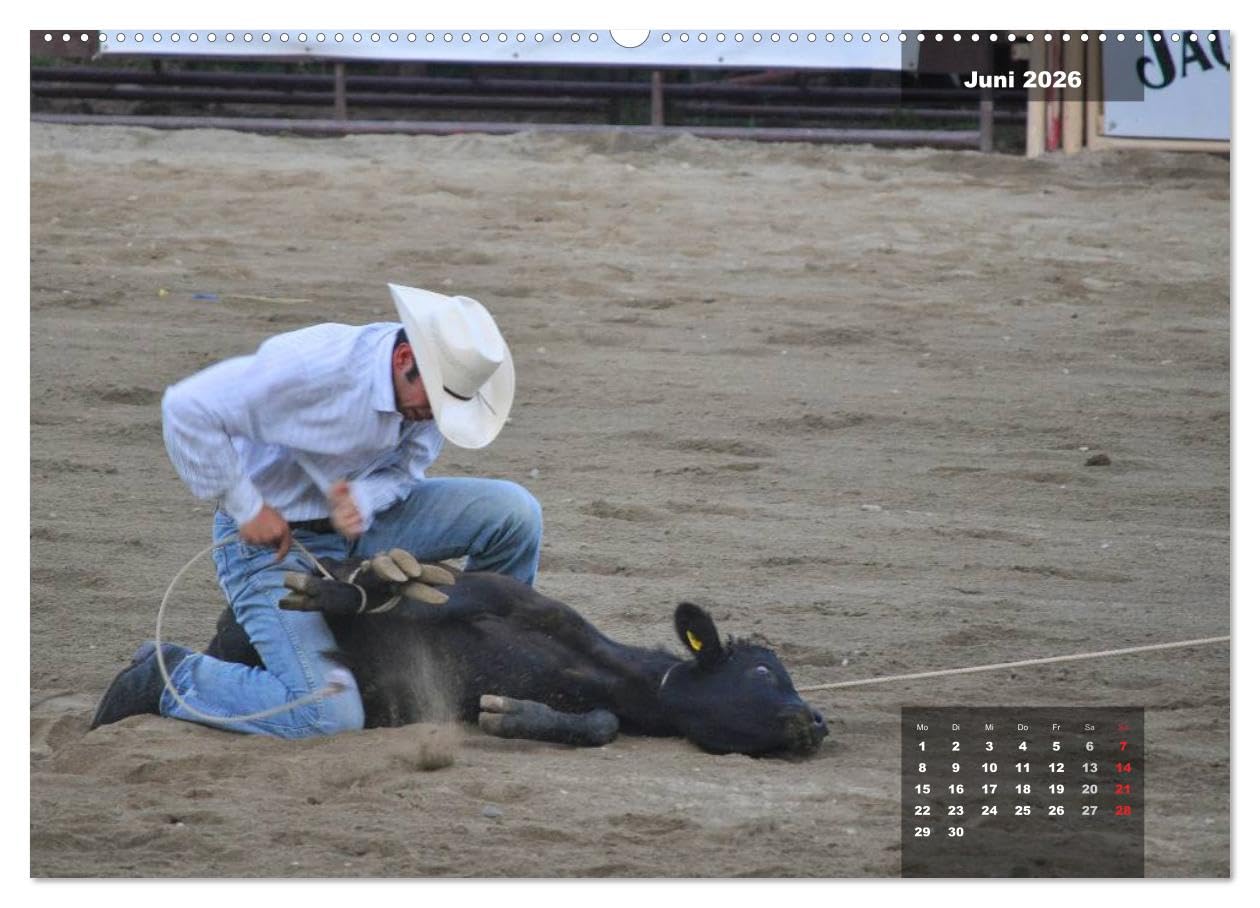 Faszination Rodeo (Wandkalender 2026 DIN A2 quer), CALVENDO Monatskalender: Aktionsreiche und stimmungsvolle Bilder aus der Welt des Rodeosports (CALVENDO Sport)