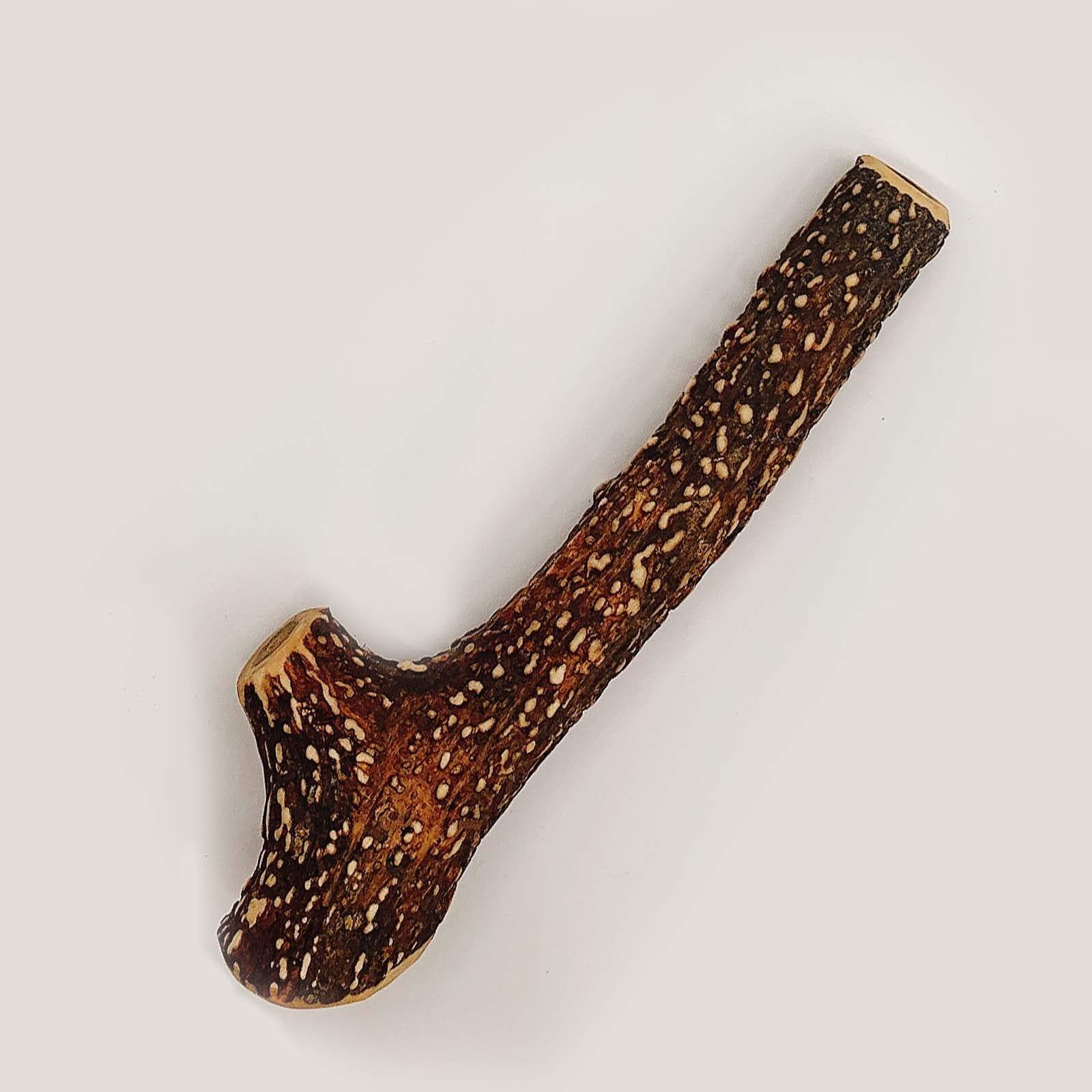 [ROMEO]鹿の角 楽天市場】【鹿角えぞ鹿の角 M】犬 鹿 骨 GIBIER STYLE 犬用