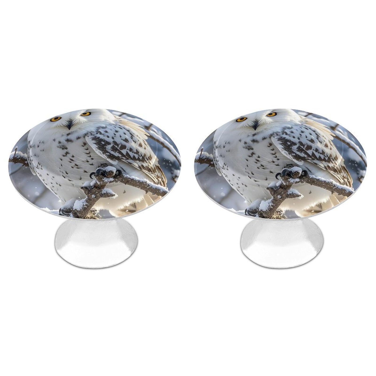 FekiLoot Round Cabinet Knob 2 Pack Kitchen Drawer Knobs Stainless Steel Round Drawer Pulls Modern Cabinet Hardware Winter White Owl Drawer Hardware for Dresser Closet Door Knobs